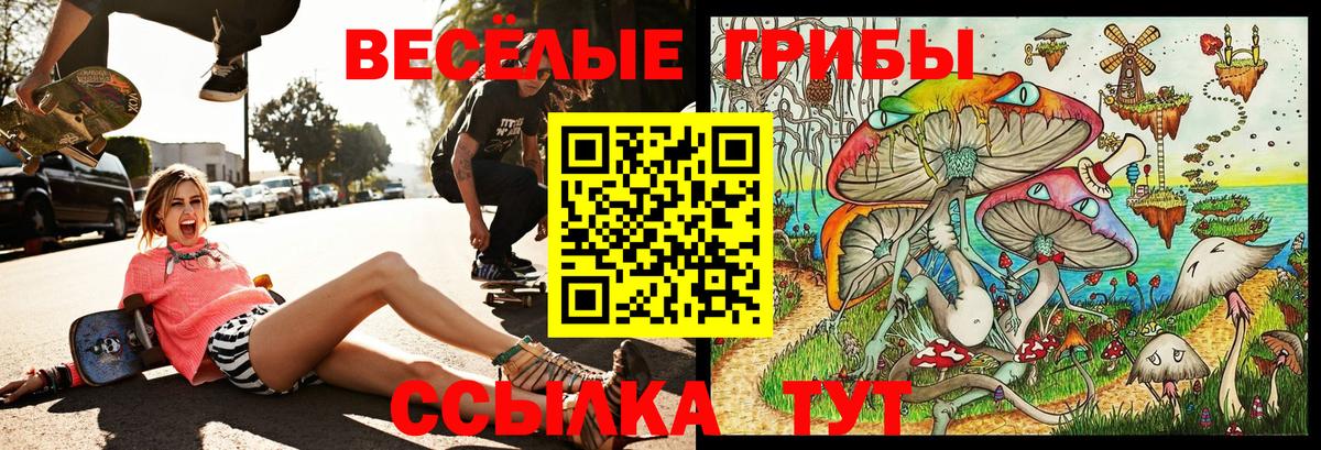 Галлюциногенные грибы GOLDEN TEACHER  Вход с VPN  Галлюциногенные грибы мицелий  Заречный 